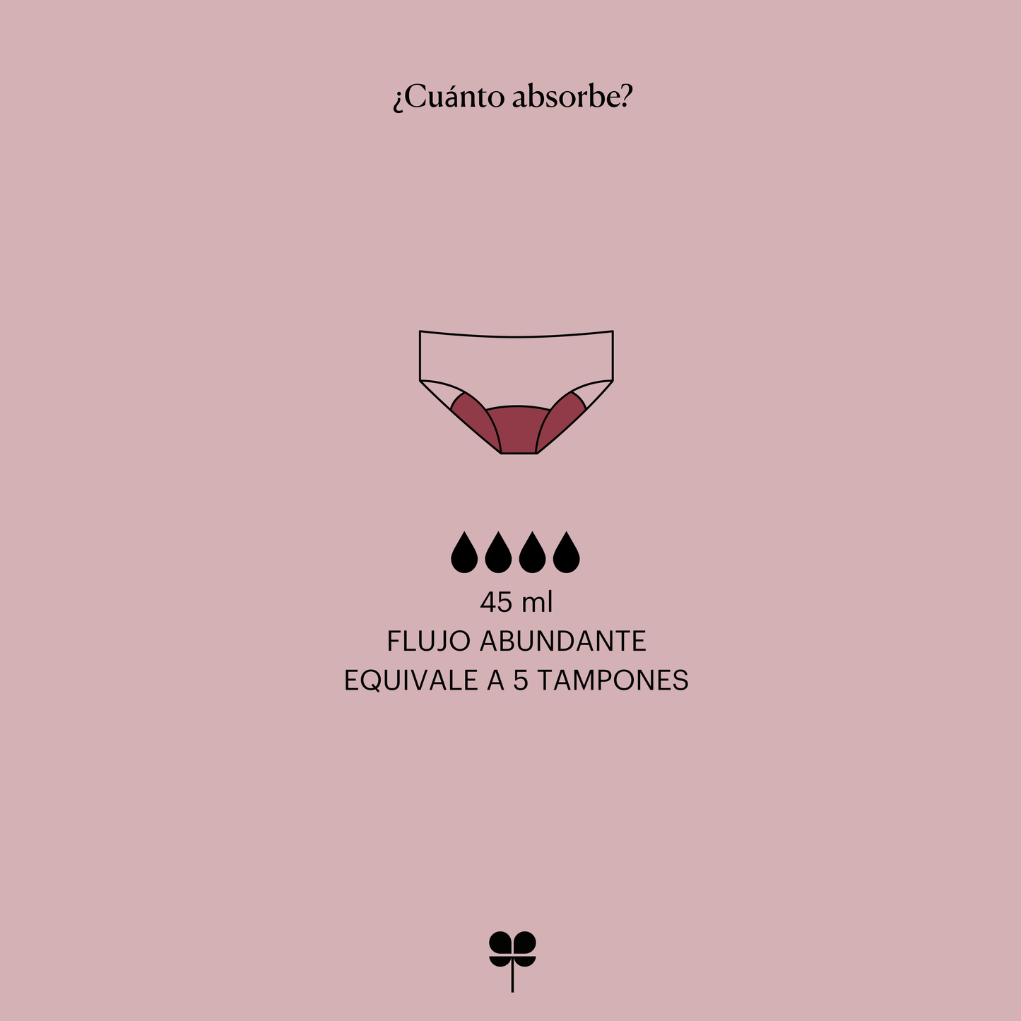 Period Panty Flujo Abundante